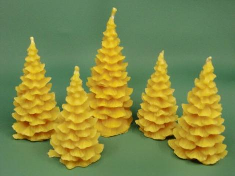 Tannenbaum Wald