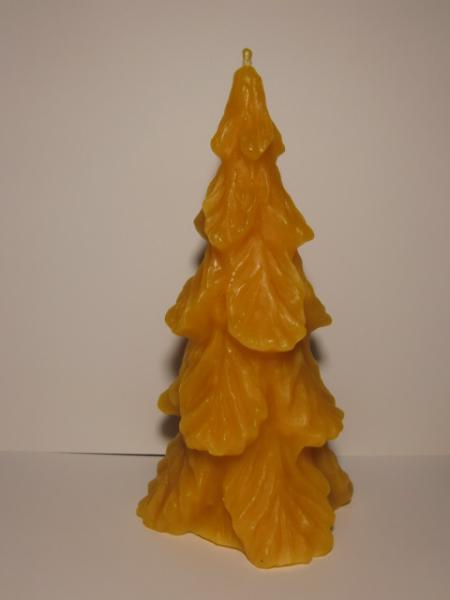 Tannenbaum gross